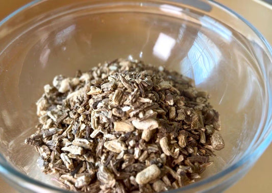 Angelica Root
