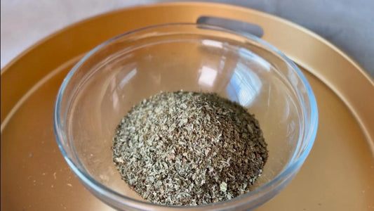Egyptian Basil Herb