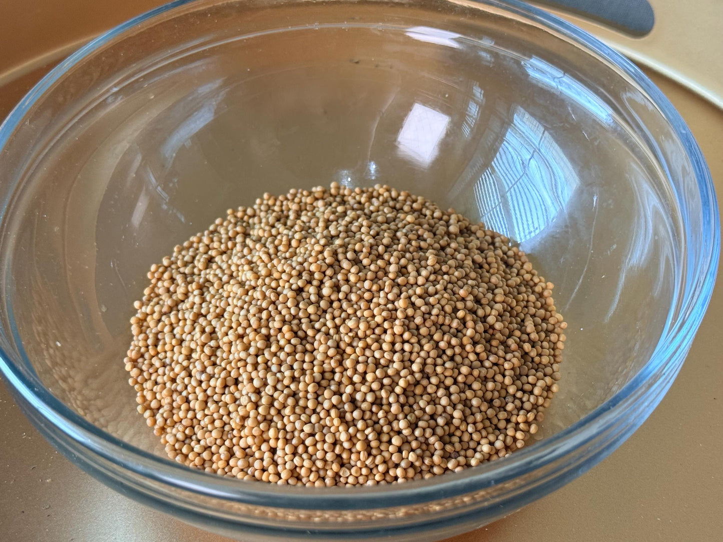 Organic Mustard Seed Yellow